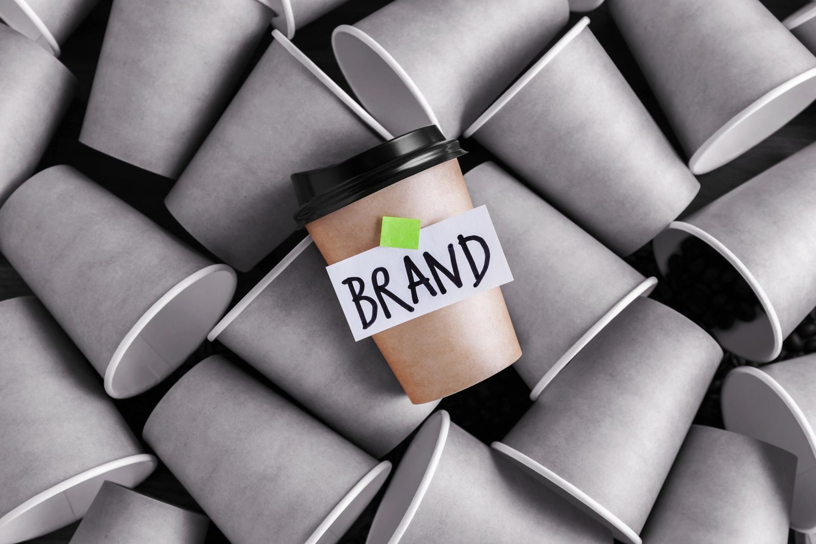 Brand Building
